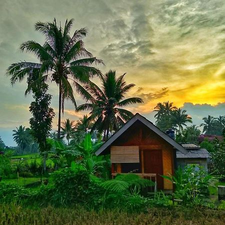 Citra Homestay Tetebatu Dış mekan fotoğraf