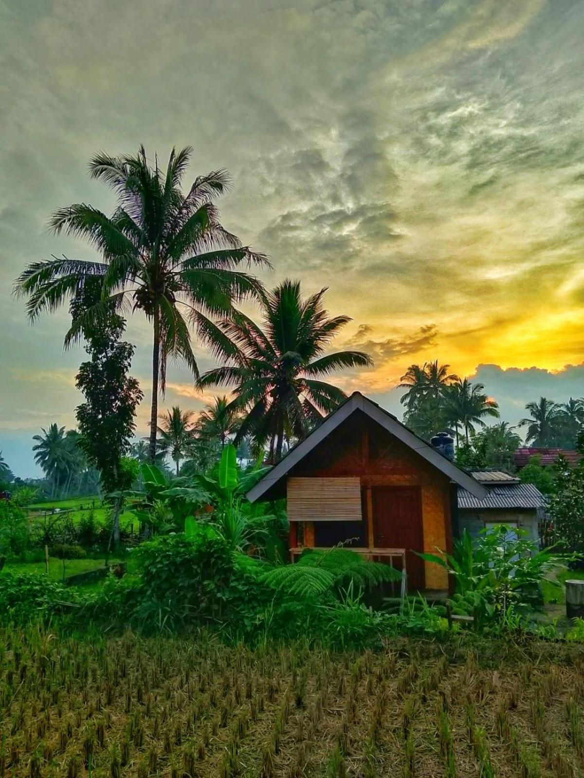 Citra Homestay Tetebatu Dış mekan fotoğraf