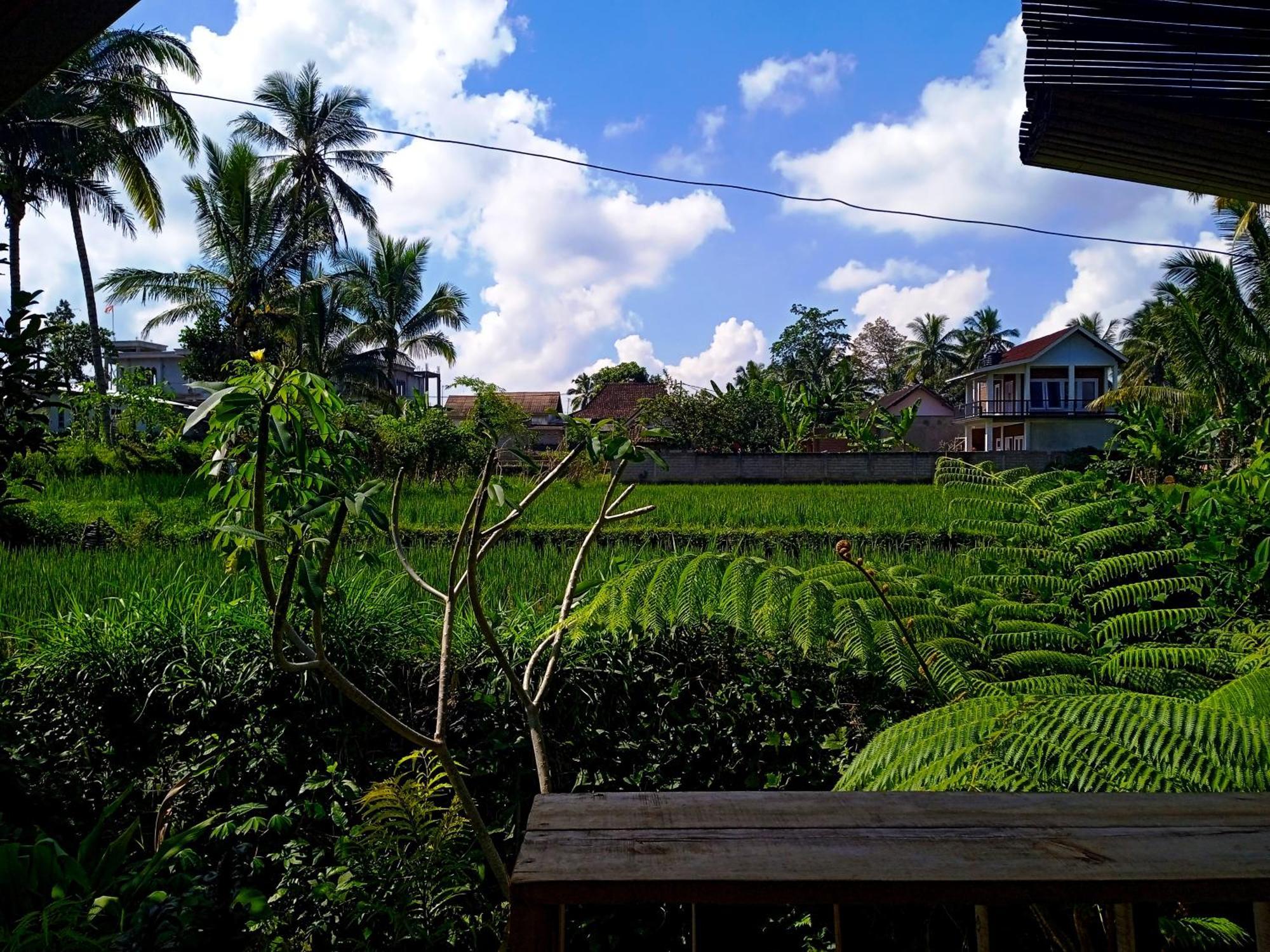 Citra Homestay Tetebatu Dış mekan fotoğraf