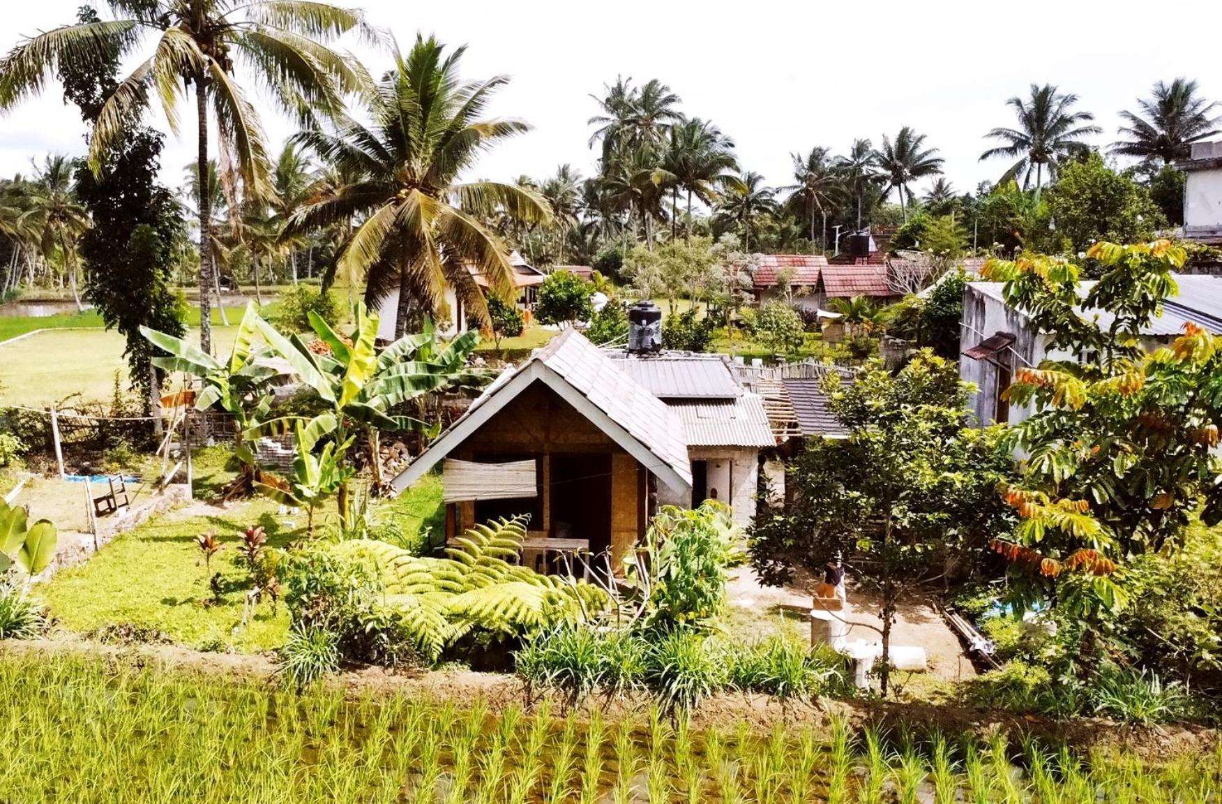 Citra Homestay Tetebatu Dış mekan fotoğraf