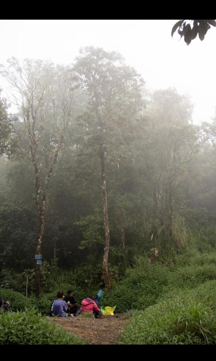Citra Homestay Tetebatu Dış mekan fotoğraf
