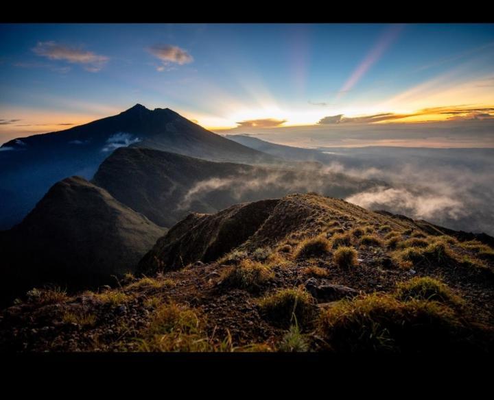 Citra Homestay Tetebatu Dış mekan fotoğraf