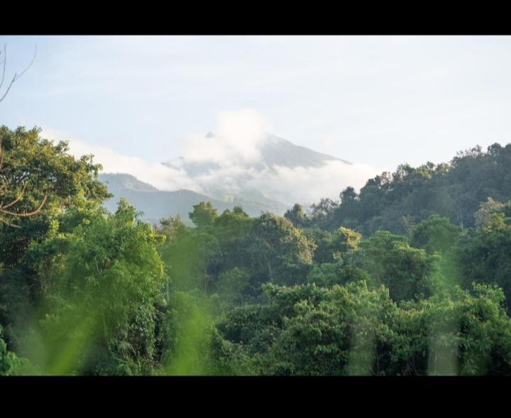 Citra Homestay Tetebatu Dış mekan fotoğraf