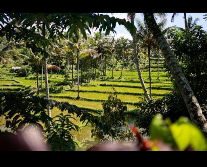 Citra Homestay Tetebatu Dış mekan fotoğraf