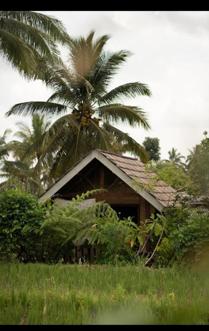 Citra Homestay Tetebatu Dış mekan fotoğraf