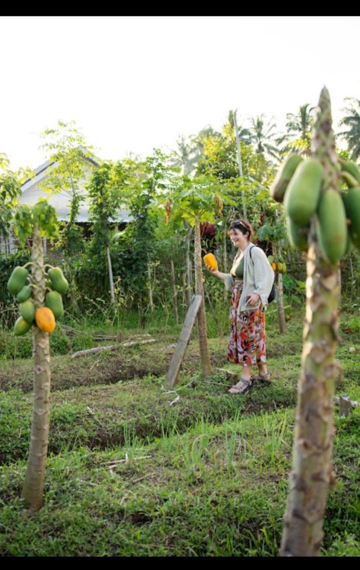 Citra Homestay Tetebatu Dış mekan fotoğraf