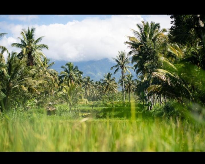 Citra Homestay Tetebatu Dış mekan fotoğraf